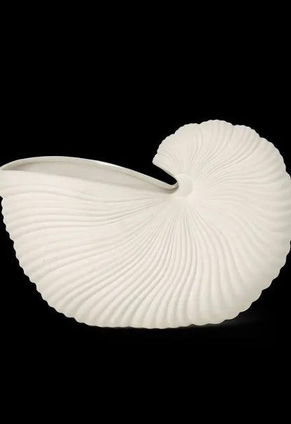 Ammonite Shell Planter