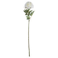 Classic White Peony Rose