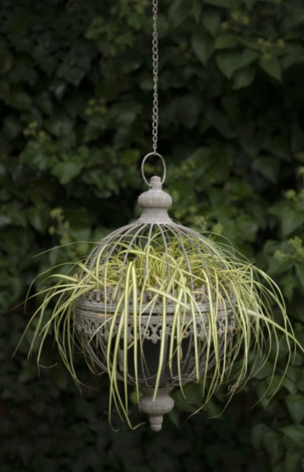 Floral Orb Planters