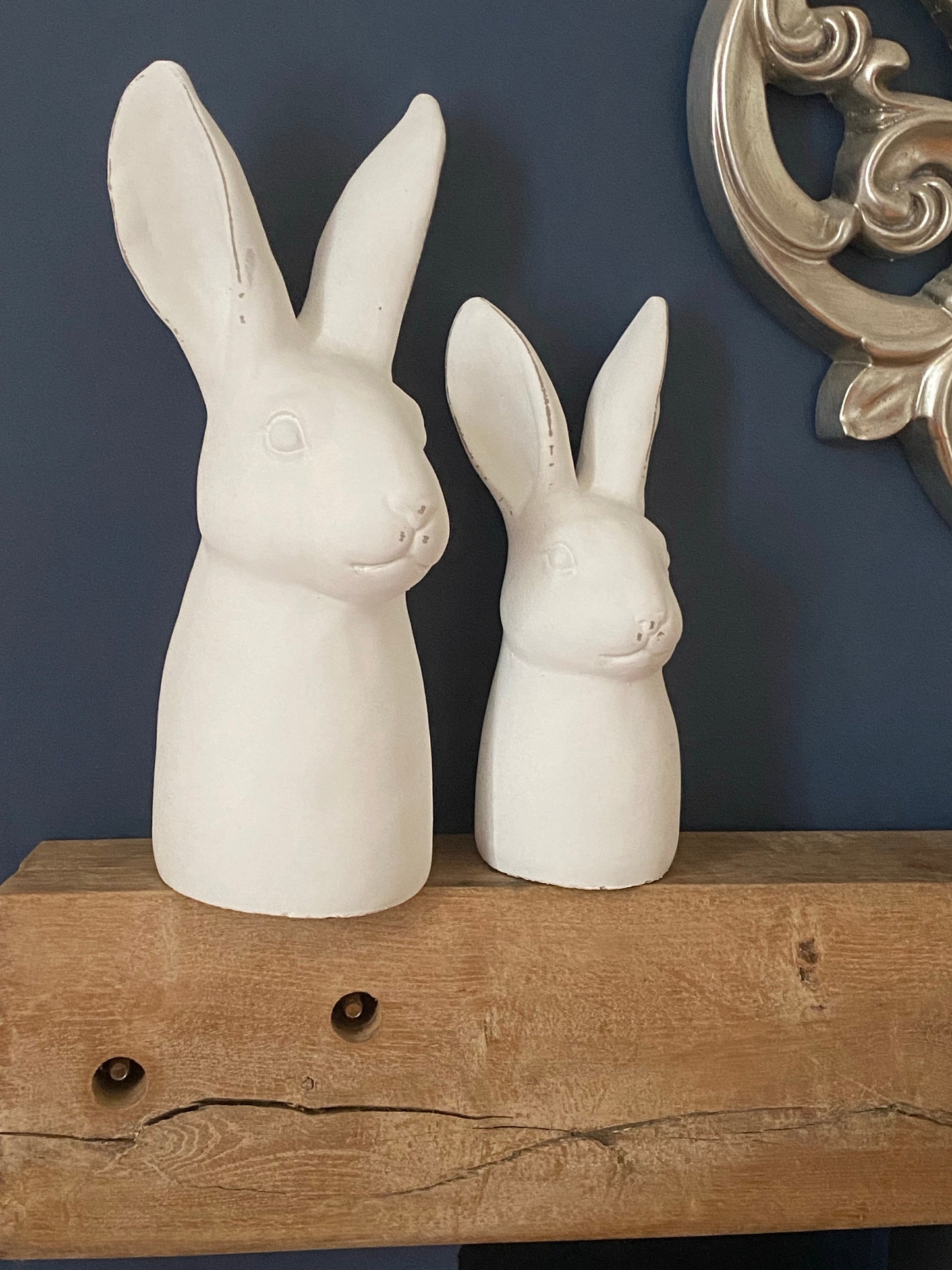 'Busby" Hare Head