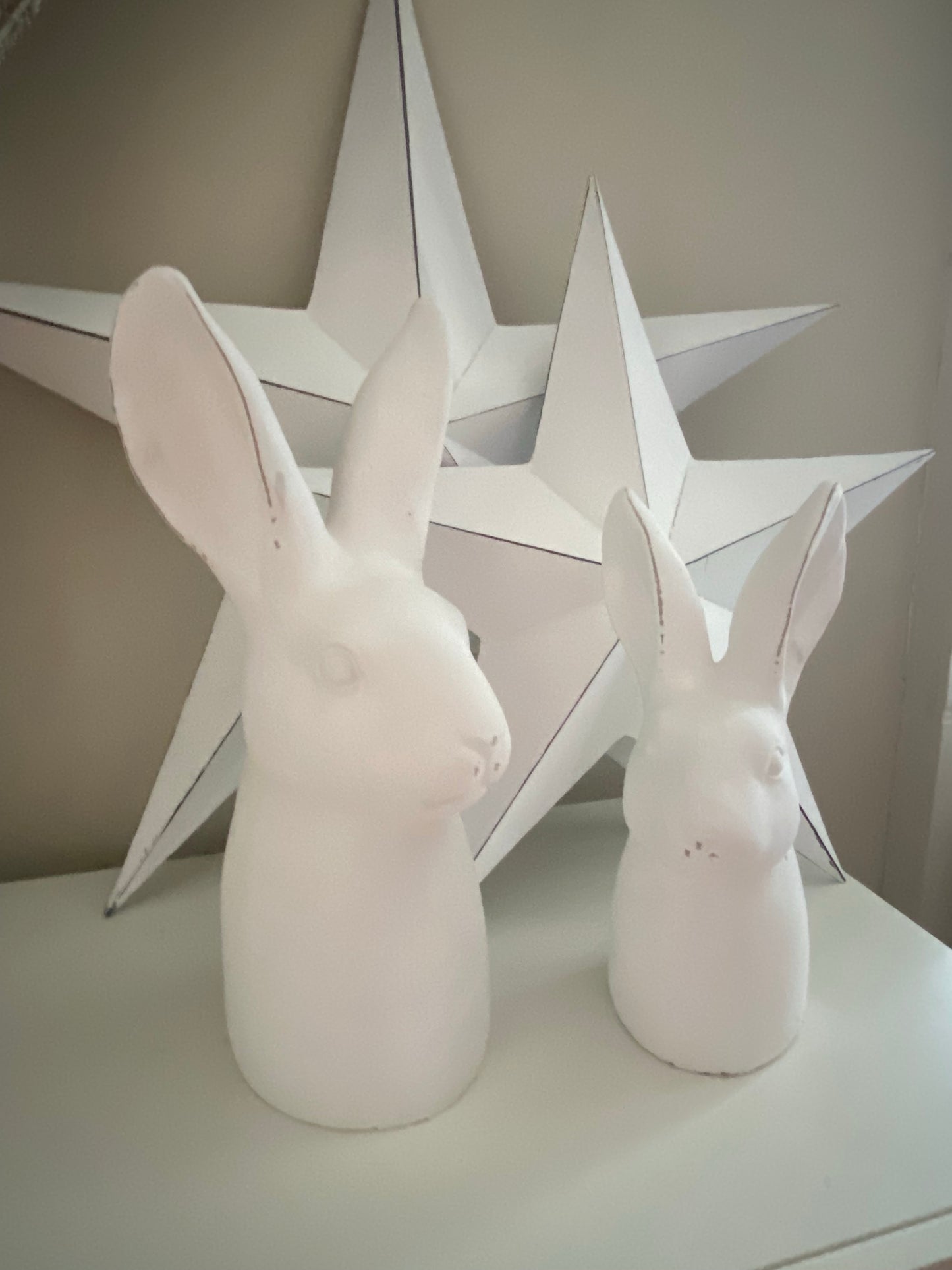 'Busby" Hare Head