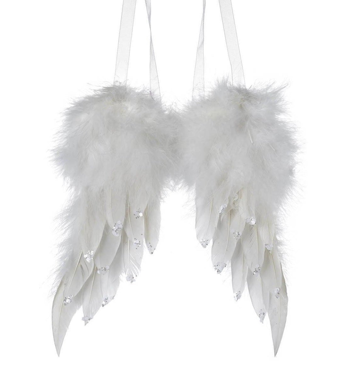 White Feather Angel Wings