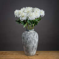 Classic White Peony Rose