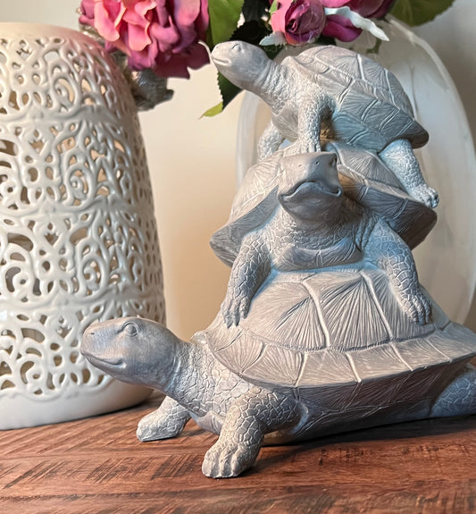 Tortoise Family