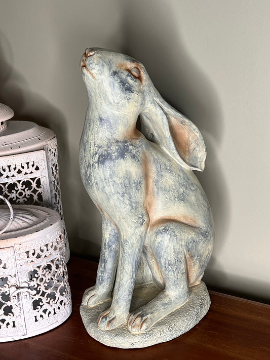 Star Gazing Hare