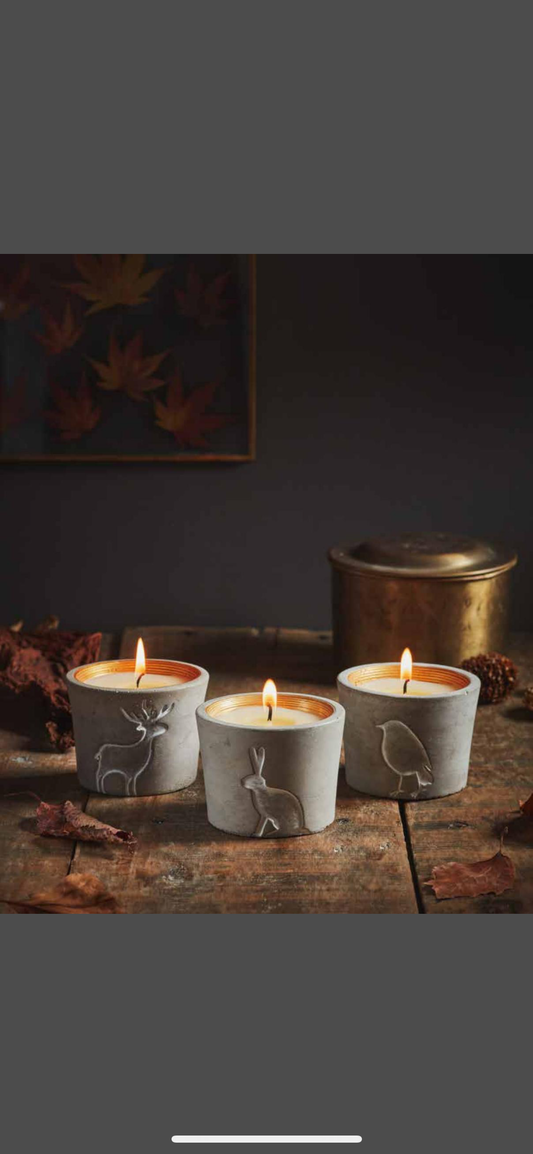 Winter Woodland Candle