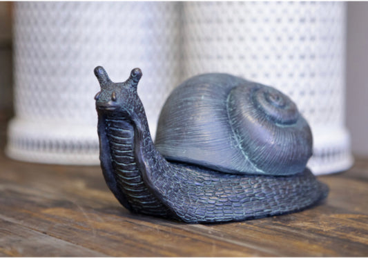 Brian Snail Key Protector