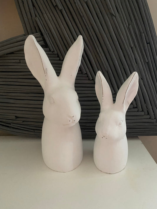 'Busby" Hare Head