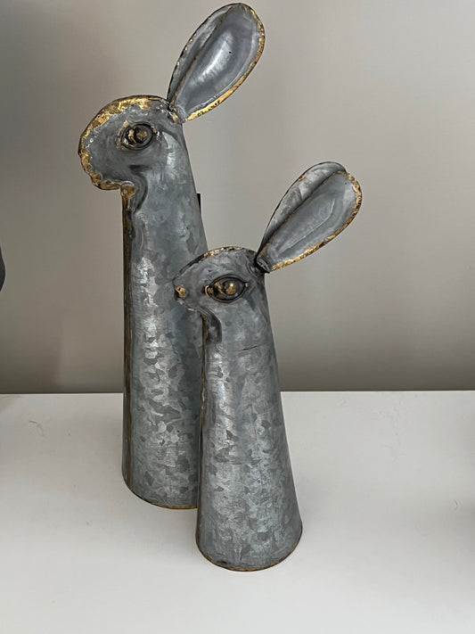 Hector Hare