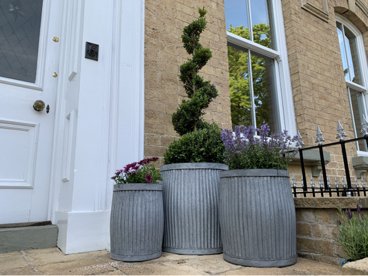Metal Dolly Tub Planter