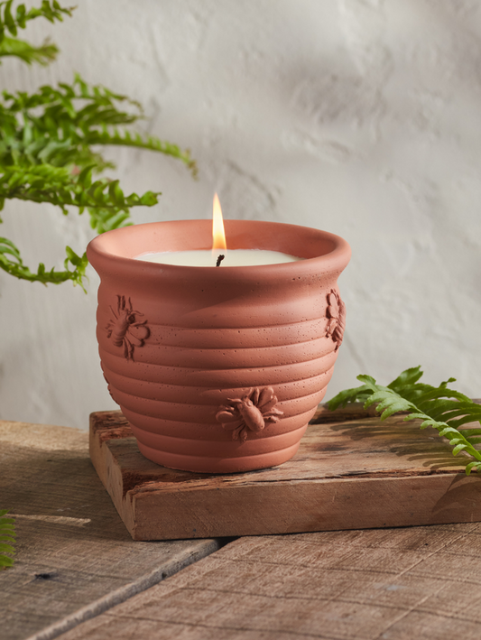 Large Terracotta Pot - Geranium